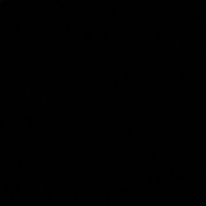 Meet your Posher, Phelan